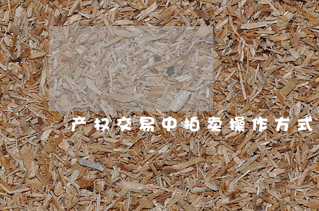 产权交易中拍卖操作方式