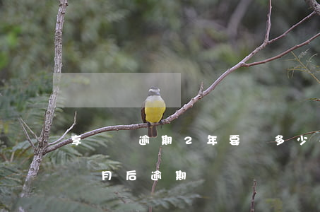 享換機逾期2年要還多少-享換機換滿12個月后逾期