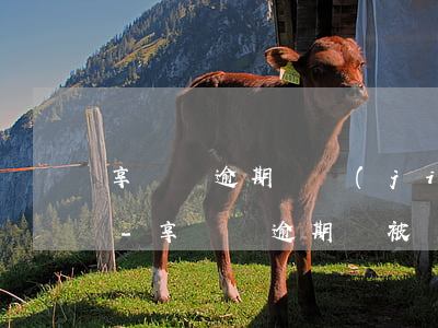 享換機逾期凍結(jié)的金額如何解除-享換機逾期會被鎖機嗎