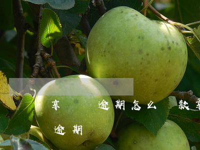 享換機逾期怎么還款(享換機換滿12個月后逾期)