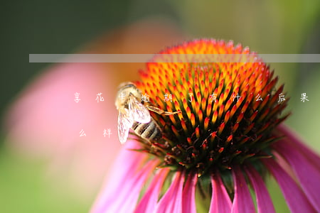 享花卡逾期了有什么后果-享花卡逾期了怎么样