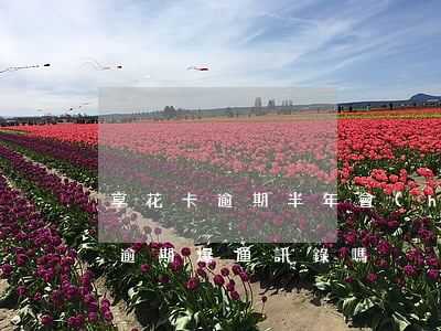 享花卡逾期半年會(huì)怎樣-享花卡逾期爆通訊錄嗎