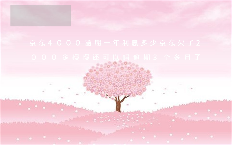 京东4000逾期一年利息多少 京东欠了2000多慢慢还可以吗逾期3个多月了