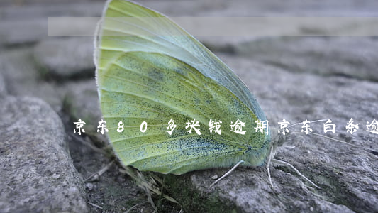 京东80多块钱逾期(京东白条逾期70块钱)