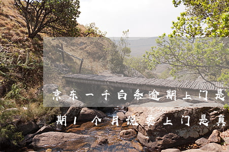 京东一千白条逾期上门是真的吗(京东白条逾期1个月说要上门是真的吗?)