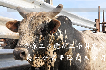 京东三万逾期三个月 京东一般逾期多长时间是一个月半还是三个月