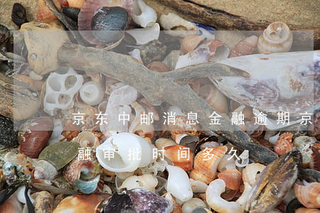 京东中邮消息金融逾期(京东金融中邮消费金融审批时间多久)