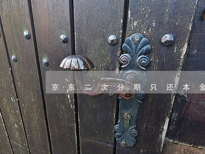 京东二次分期只还本金(京东分期再分期)