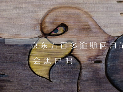 京东五百多逾期俩月能黑户吗(京东白条逾期会黑户吗)