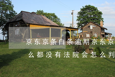 京东京条白条逾期(京东京条白条逾期名下什么都没有法院会怎么判呢)