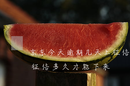 京东今天逾期几天上征信么(京东逾期一次,上征信多久才能下来)