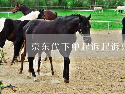 京东代下单起诉 起诉京东第三方在商家当地吗