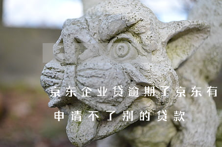 京东企业贷逾期了(京东有逾期记录是不是就申请不了别的贷款)