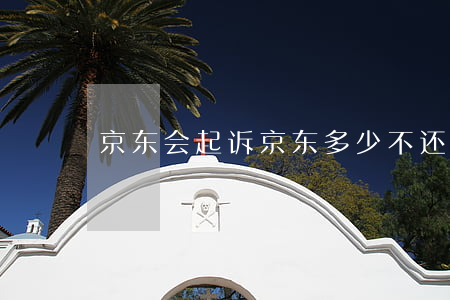 京东会起诉（京东多少不还被起诉）