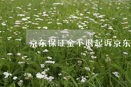 京东保证金不退起诉(京东保证金退到哪里)