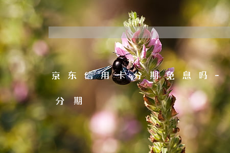 京东信用卡分期免息吗-京东买手机信用卡分期