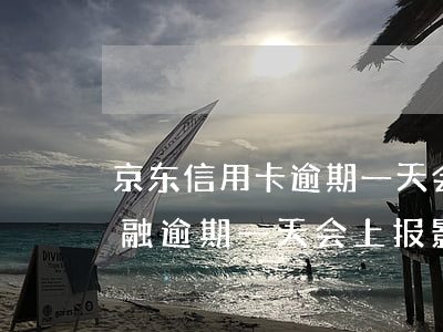 京东信用卡逾期一天会不会上征信-京东金融逾期一天会上报影响征信么,不是故意的