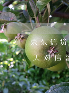 京东信贷逾期90天-京东金融借款逾期1天对信誉有影响吗