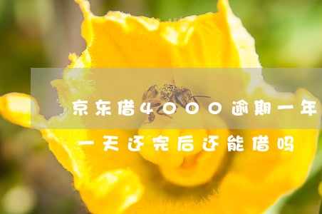 京东借4000逾期一年多 京东逾期过一次一天 还完后还能借吗