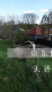 京东借呗逾期一天会影响什么-借呗逾期一天还有影响吗