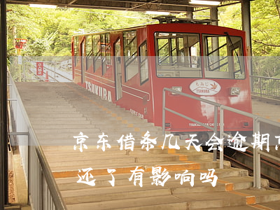 京东借条几天会逾期(京东借款逾期6天已经还了有影响吗)