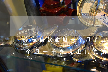 京东借款逾期一个月了上门吗-京东逾期两个月一千多说上门真的假的?