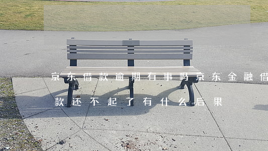 京东借款逾期有事吗(京东金融借款逾期被催款还不起了有什么后果)