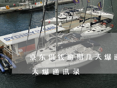 京东借钱逾期几天爆通讯录（京东借钱逾期几天爆通讯录）