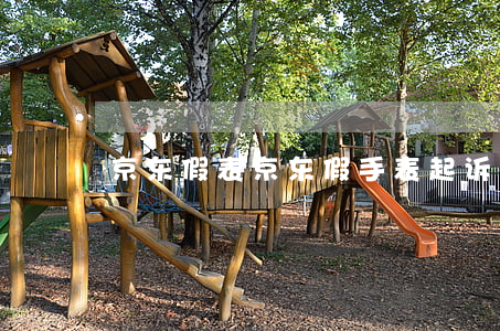 京东 假表（京东假手表起诉）