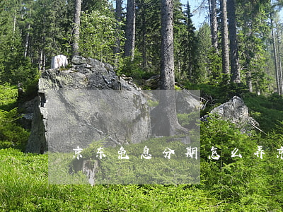 京东免息分期怎么弄 京东免息分期怎么弄
