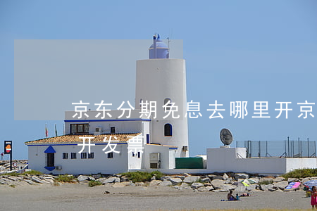 京东分期免息去哪里开(京东分期免息去哪里开发票)