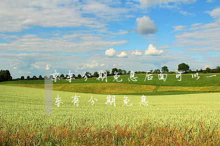京东分期免息后面可以一次还清吗（618京东有分期免息）