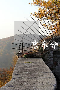 京东分期免息怎么搞（京东分期免息哪里开通）