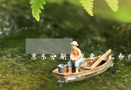 京东分期免息要什么条件(京东 分期 免息)