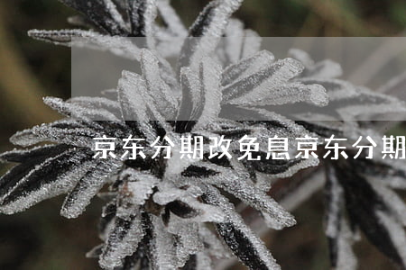 京东分期改免息 京东分期免息还要手续费吗