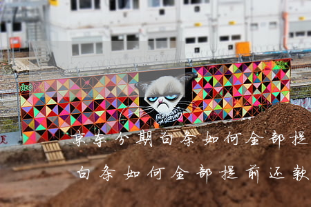 京东分期白条如何全部提前还款-京东分期白条如何全部提前还款啊