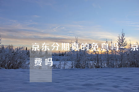 京东分期真的免息吗-京东分期免息要手续费吗