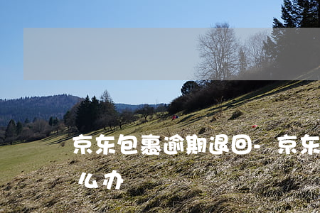 京东包裹逾期退回-京东包裹被返回去了怎么办