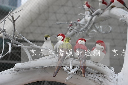 京东和借呗都逾期-京东借呗影响房贷吗