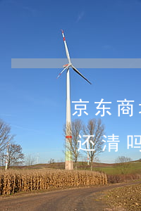 京东商城逾期(京东商城逾期过后必须一次性还清吗)