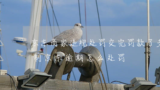 京东商家违规处罚交完罚款了多久能解除限制（京东逾期怎么处罚）
