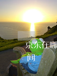 京东在哪里起诉(京东起诉到开庭需要多长时间)