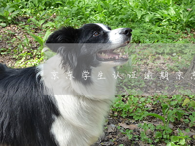京东学生认证逾期(京东学生认证会不会过期)