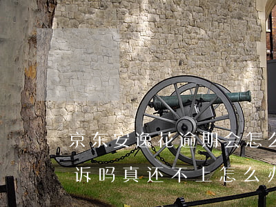 京东安逸花逾期会怎么样(安逸花逾期会被起诉吗?真还不上怎么办)