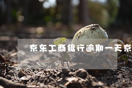京东工商银行逾期一天 京东逾期几个小时