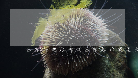 京东异地起诉我(京东起诉我怎么办)