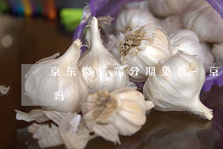 京东微信端分期免息-京东微信端分期免息吗