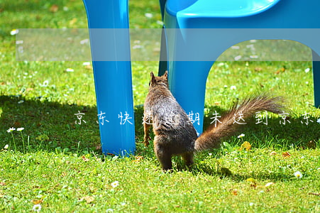 京东快递逾期未送到(京东快递未能按时送到)
