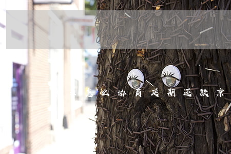 京东怎么协商延期还款（京东逾期协商要证明）