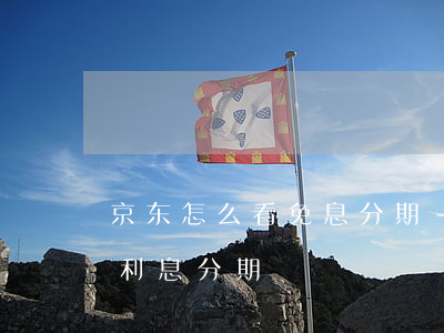 京东怎么看免息分期-京东买手机怎么看免利息分期
